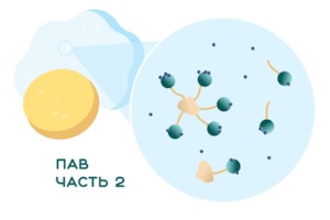 Статья про ПАВ. Часть 2